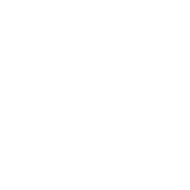 Brain as a puzzle illustration