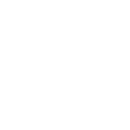 Brain icon with abstract lines
